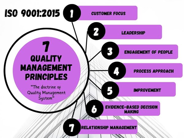 7 quality management principles
