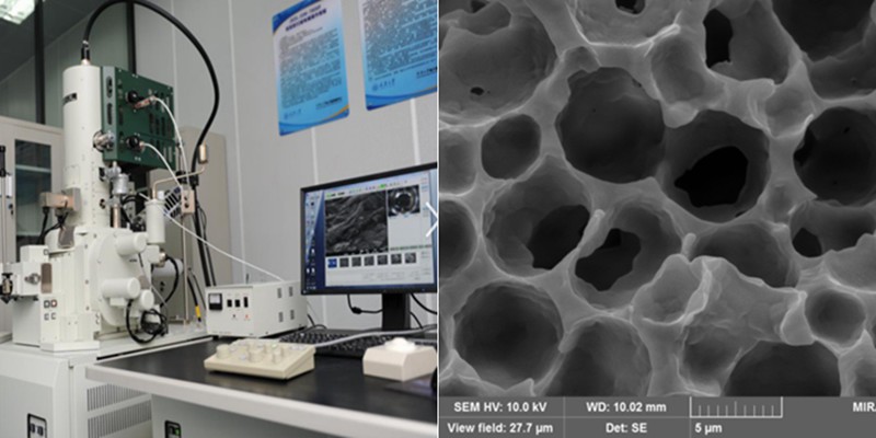 application of scanning electron microscope