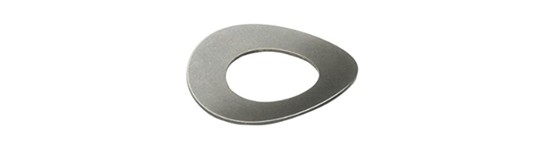 curved disk spring