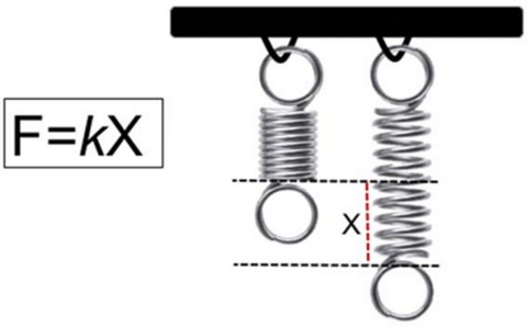 elastic deformation zone