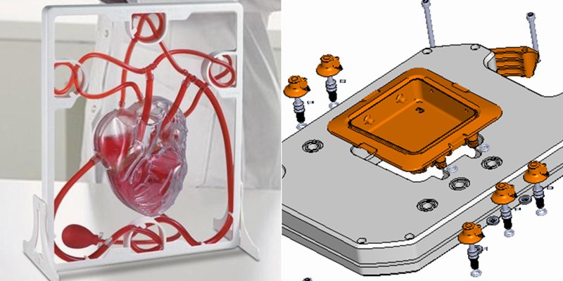heart blood simulator prototype